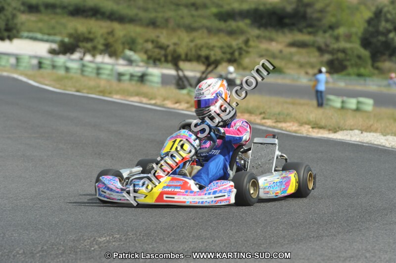 DSC (3693).JPG